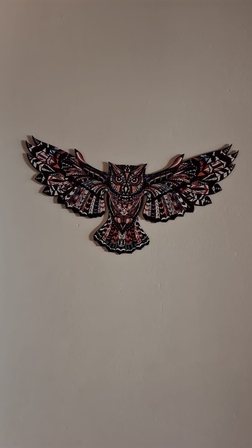 Customer photo review of Görkemli Baykuş