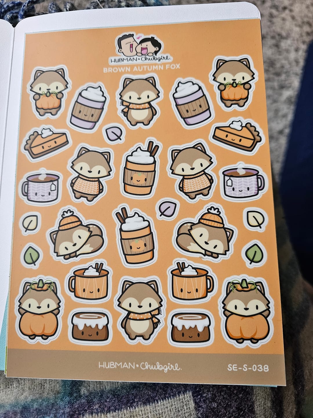 Customer photo review of Brown Fox Sticker Sheet