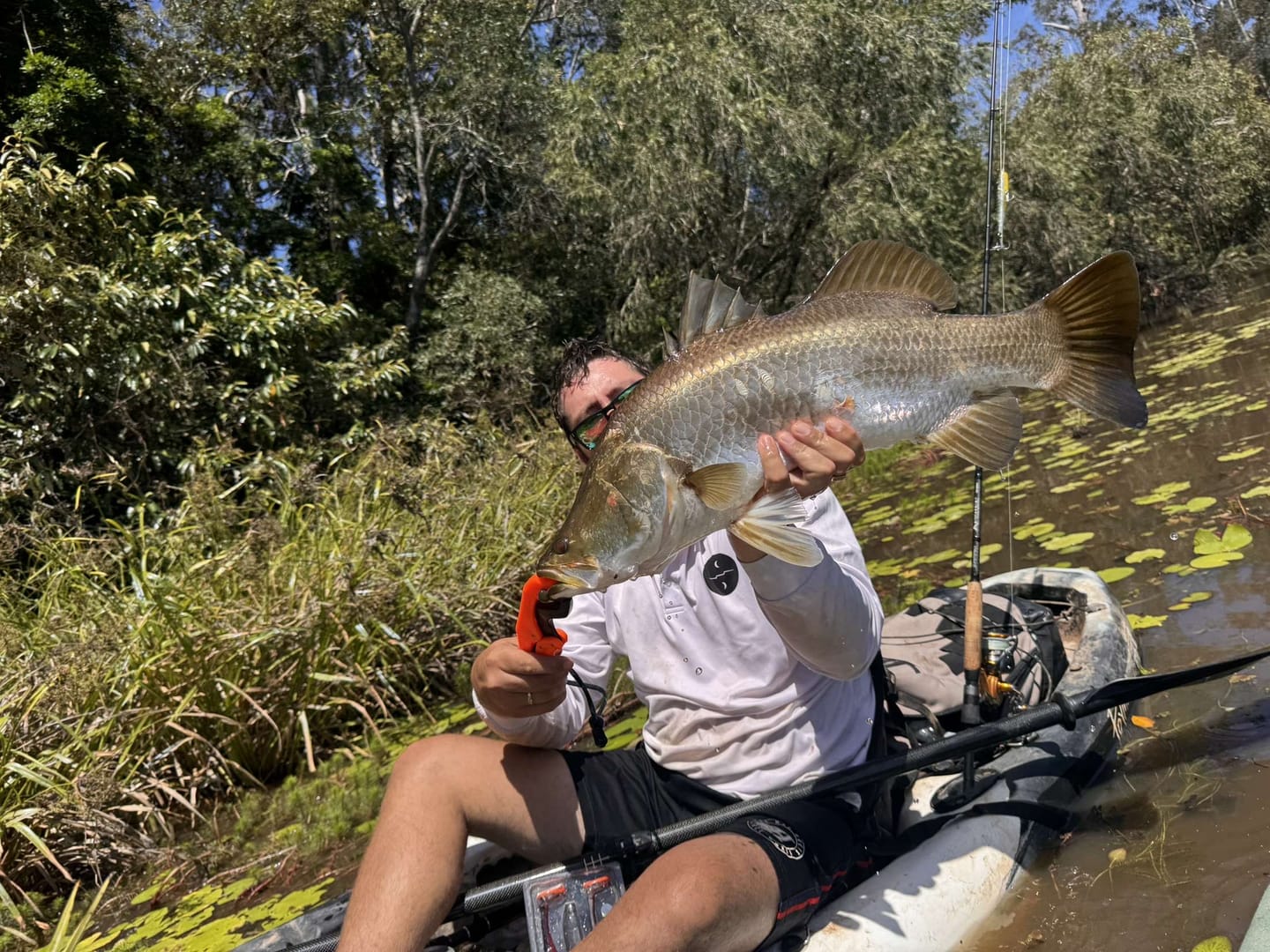 Customer photo review of DEATH SHAD