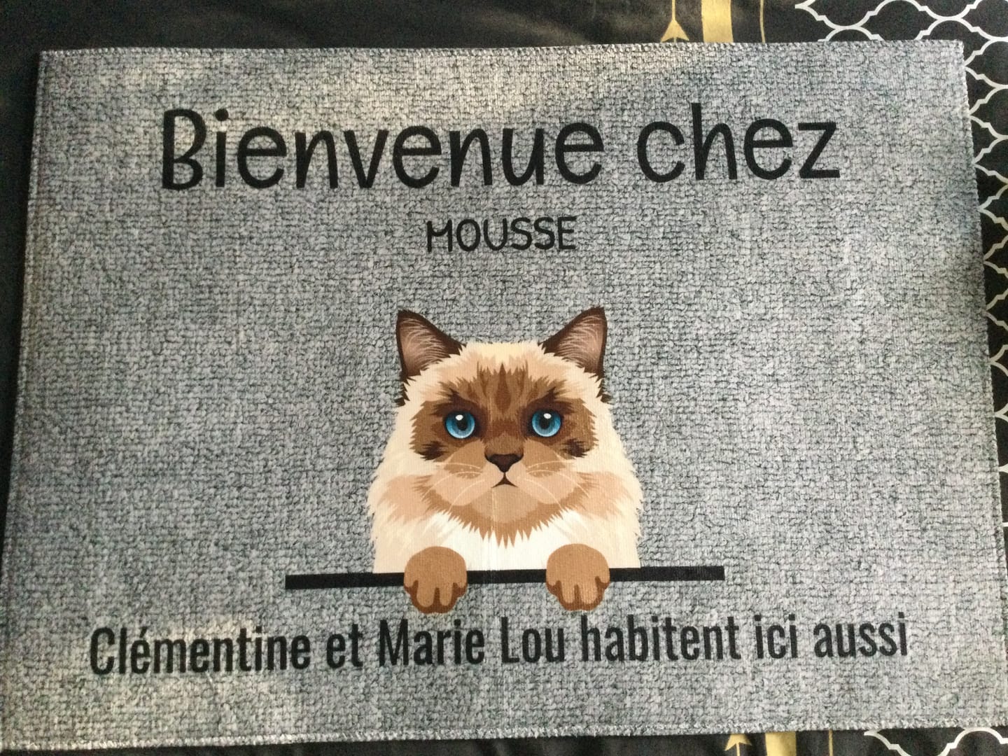Customer photo review of Tous mes amis à poils - Paillasson personnalisé