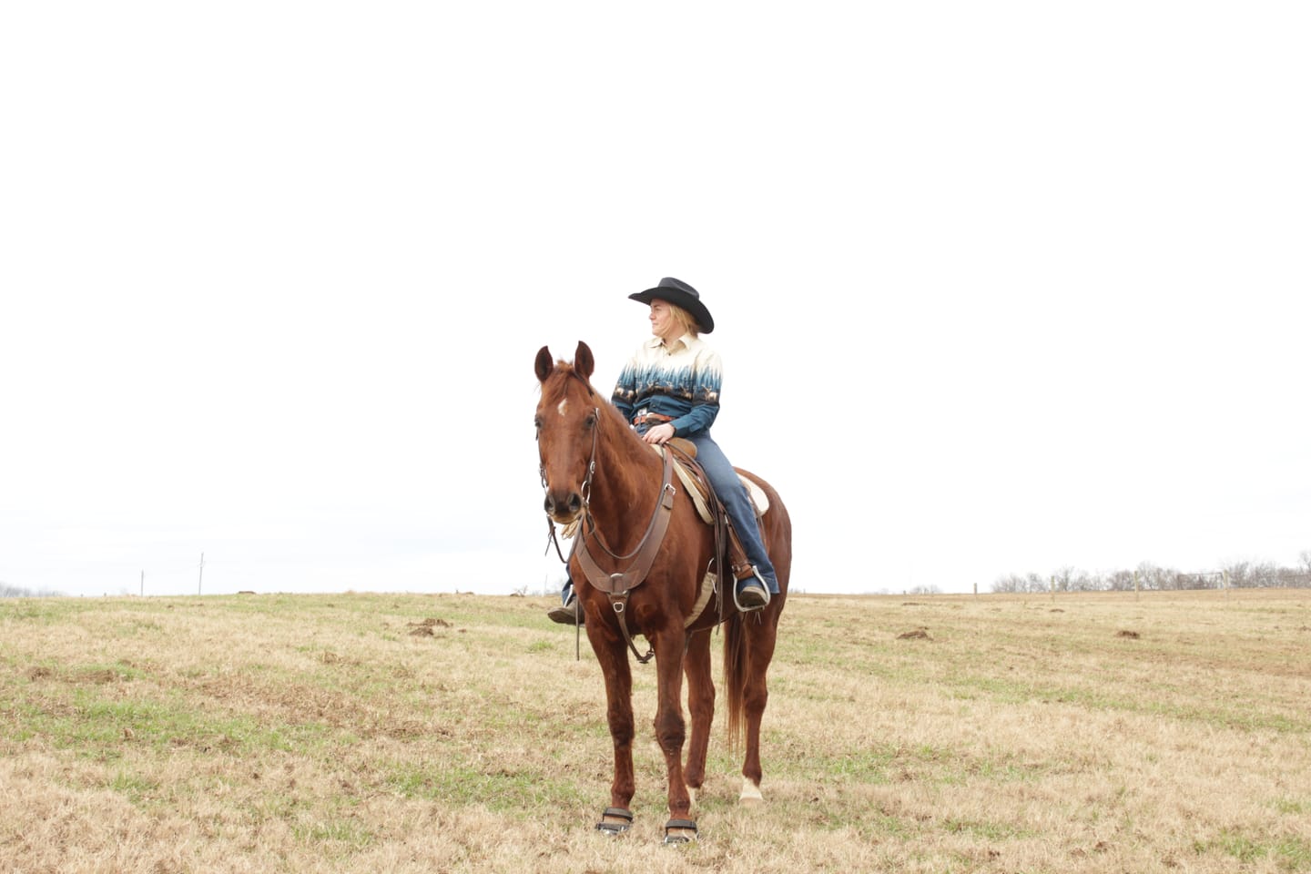 Customer photo review of Renegade® Viper™ Black Knight - 150x150