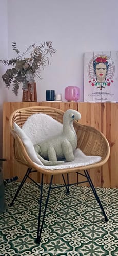 Customer photo review of The Dinosaur