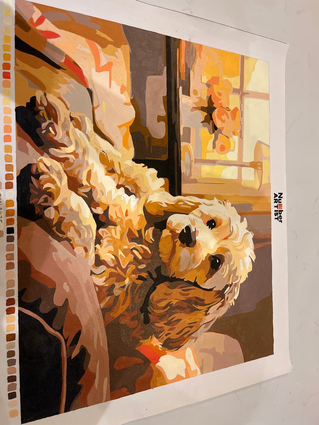 Customer photo review of Couch Cockapoo