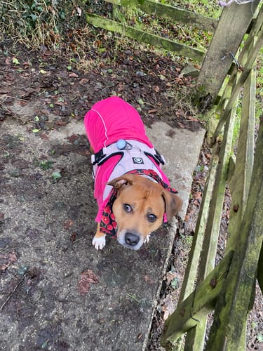 Julie R. review of Premium Comfort Herringbone Harness | Non Restrictive - Soft Pink image 1 out of 1