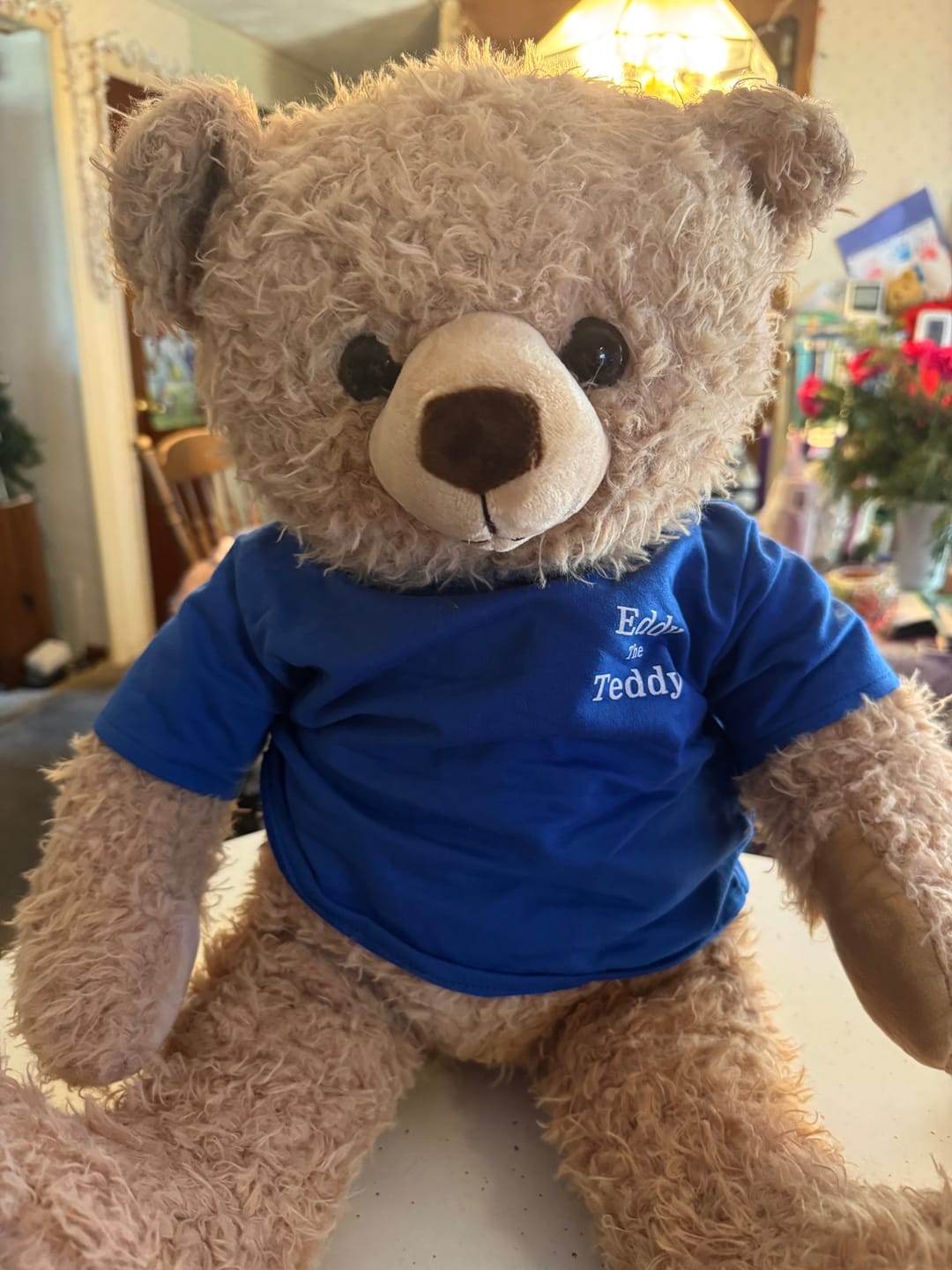 Customer photo review of 65cm Original Eddy the Teddy