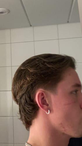 Customer photo review of Silver Hoop