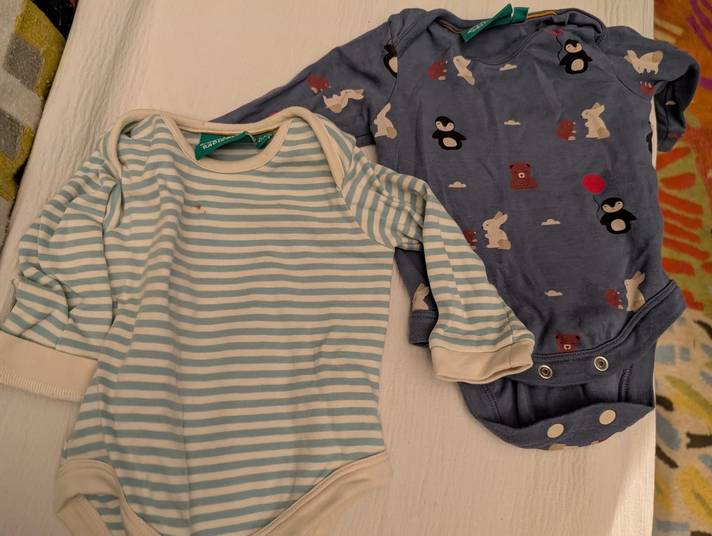 Customer photo review of Arctic Friends Organic Baby Bodysuit Set - 2 Pack