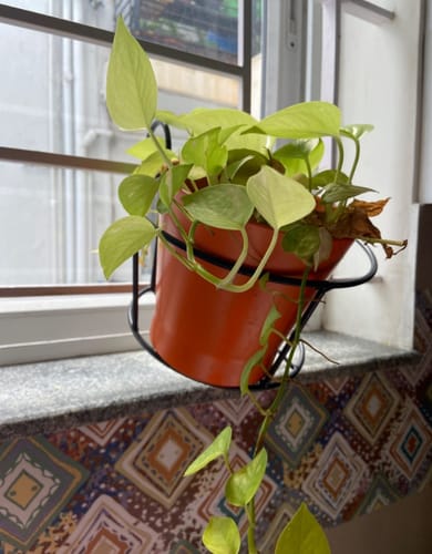 Customer photo review of United Crafts Round Railing Stands for Balcony and Home Decor