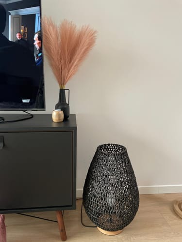 Fotorecensie van een klant over Pampas 60cm (5 stengels)- Oudroze