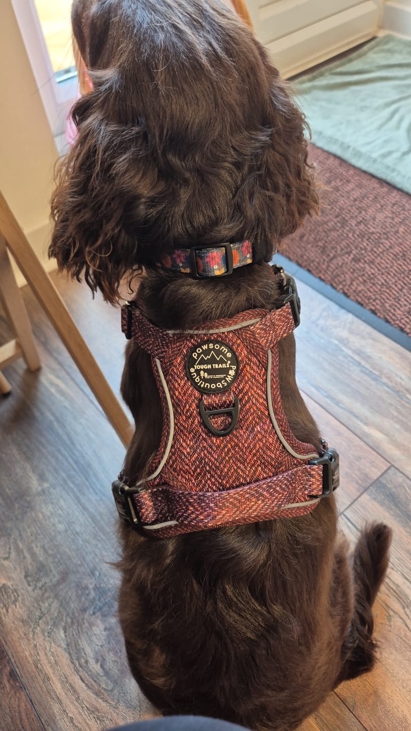 Customer photo review of Tough Trails™ Harness - Country Burgundy
