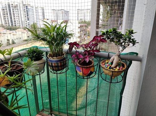 Customer photo review of United Crafts Round Railing Stands for Balcony and Home Decor