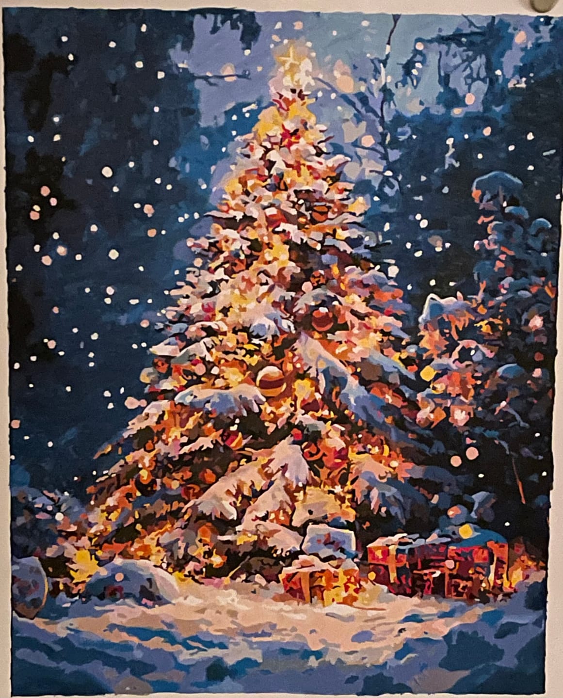 Customer photo review of Snowfall Splendor