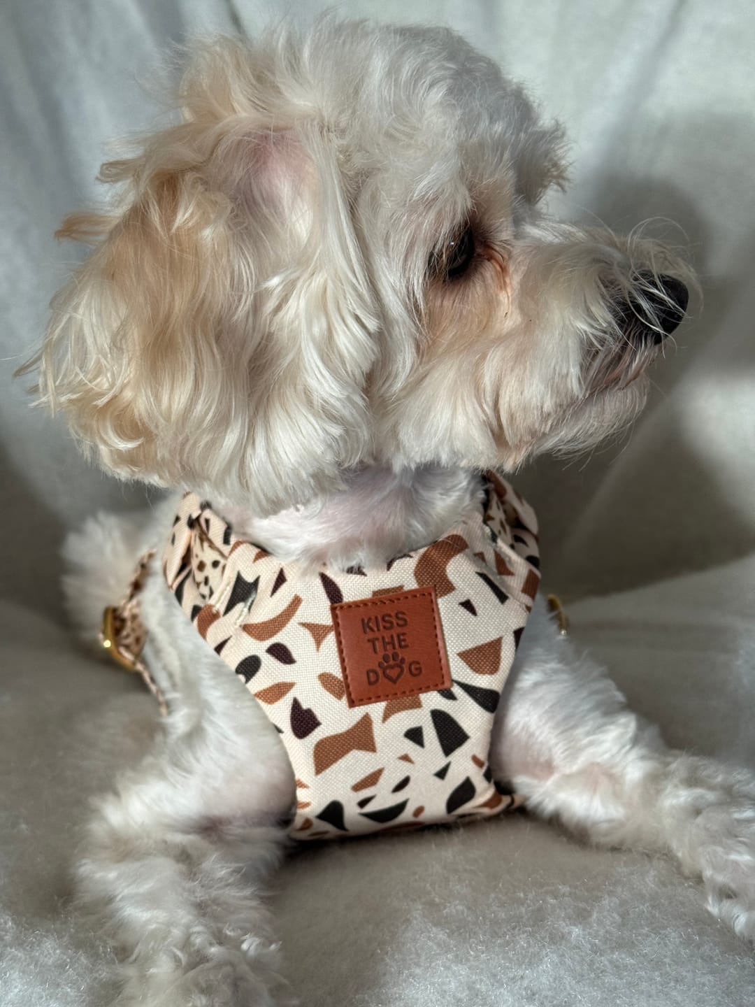 Customer photo review of Smycz miejska "Beige Terrazzo" - złote okucia