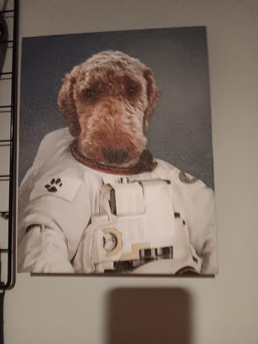 Customer photo review of Astronaut Pet Portrait