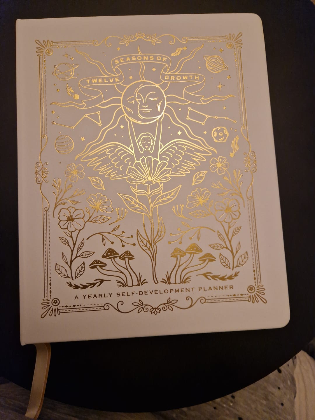 Customer photo review of Twelve Seasons of Growth -  Yearly Self Development Planner (Undated)