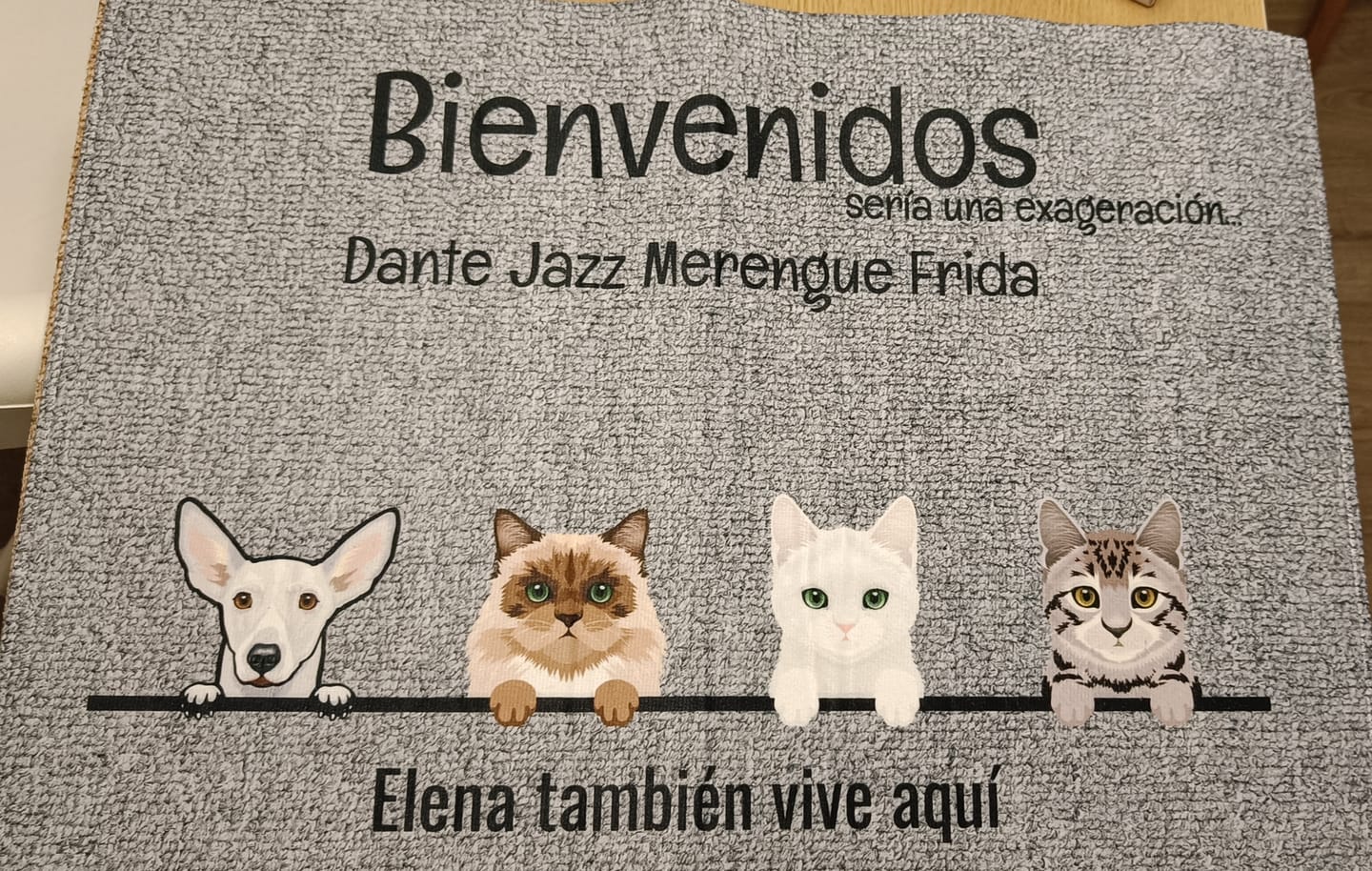 Customer photo review of En mi casa - Felpudo personalizado