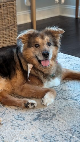 Customer photo review of Senior Forever Young Pack