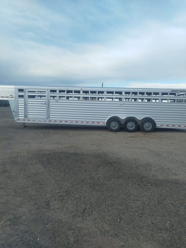 Customer photo review of Absolute Acid