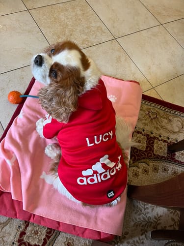 Customer photo review of Felpa "The Dog Face" Blu Personalizzabile con nome