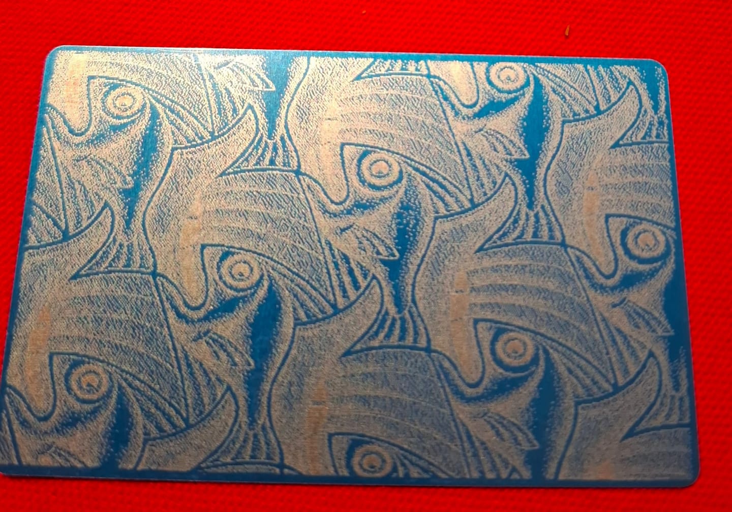 Customer photo review of Longer RAY5 5W/10W/20W Laser Engraver