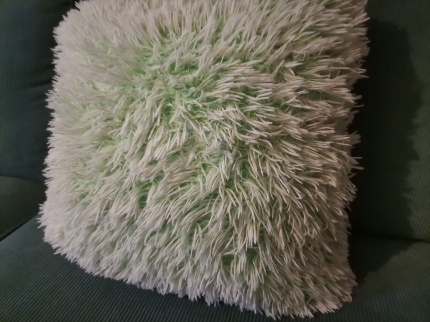 Customer photo review of Schafschurwoll-Hirse-Kissen mit Lavendel