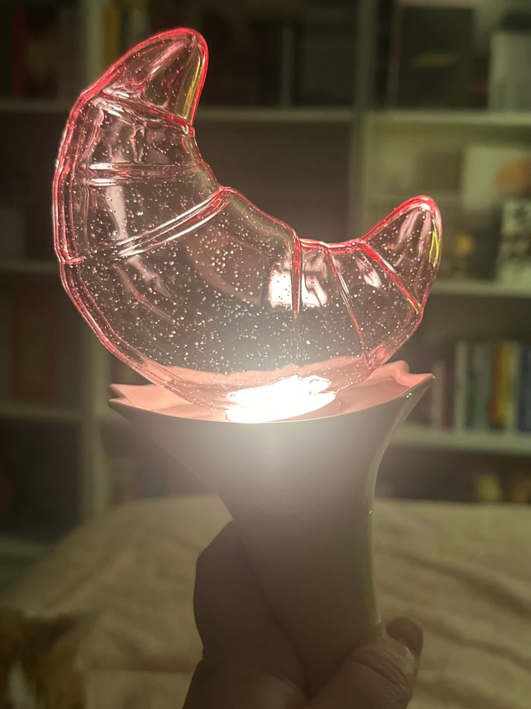 Customer photo review of Loossemble - OFFICIAL LIGHT STICK