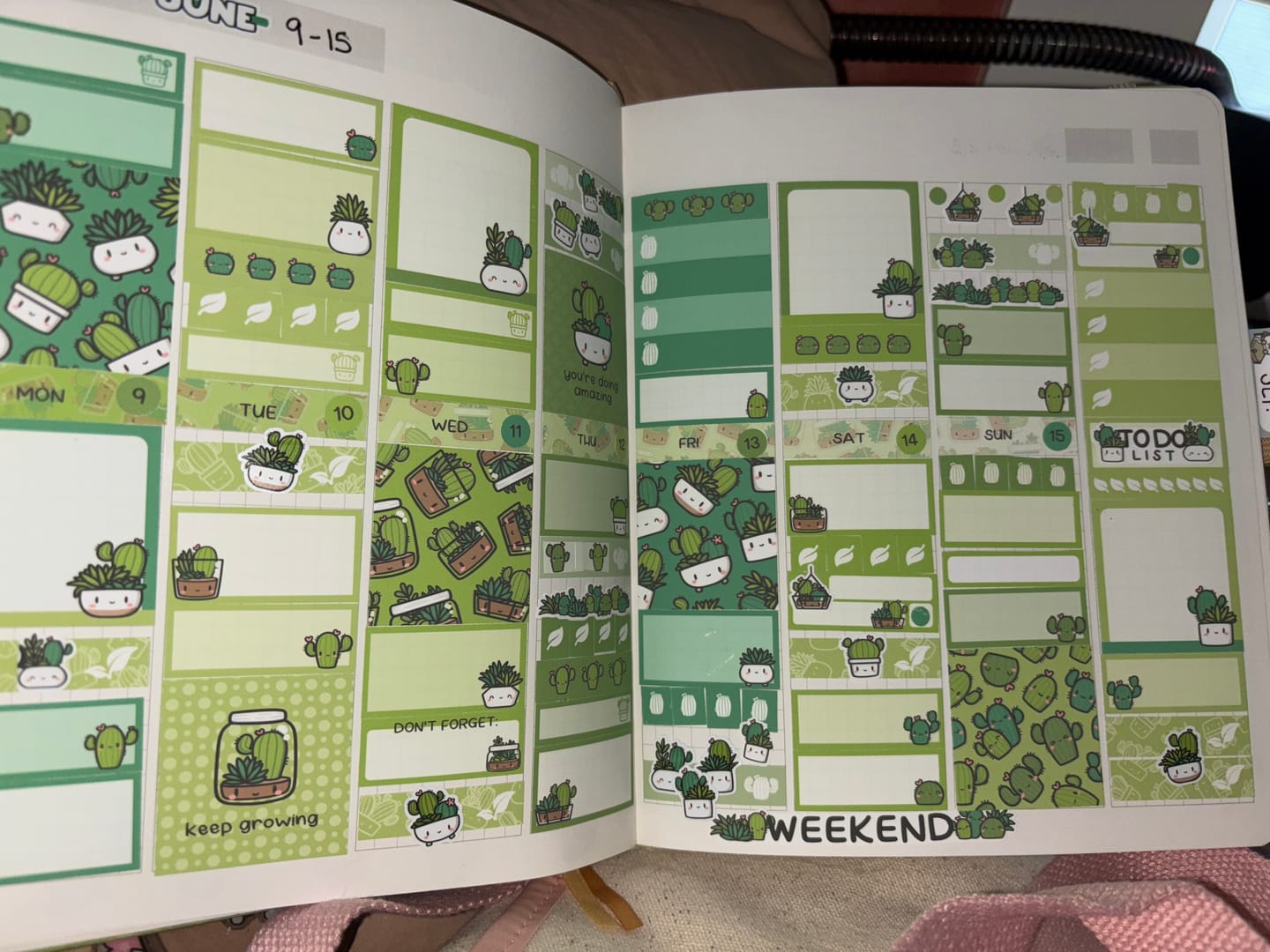 Customer photo review of Cozy Plants Planner Kit (Set of 6)