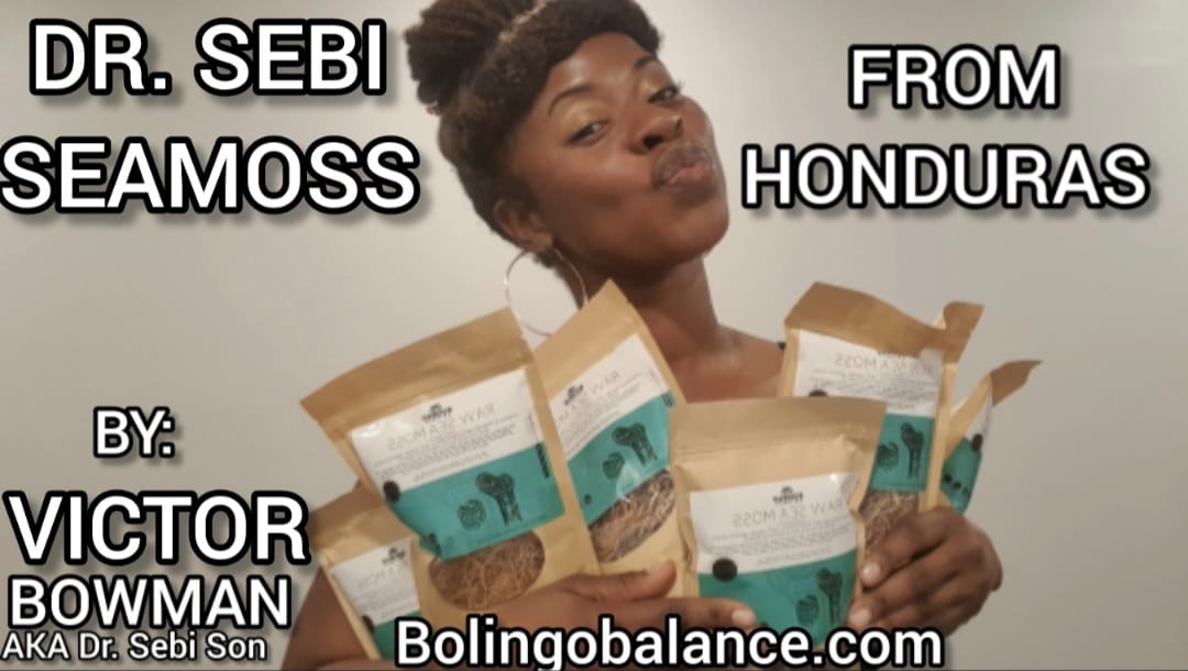 Customer photo review of RAW SEA MOSS