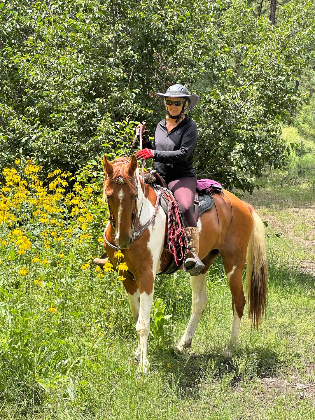 Customer photo review of Renegade® Classic Hoof Boots - Black Knight