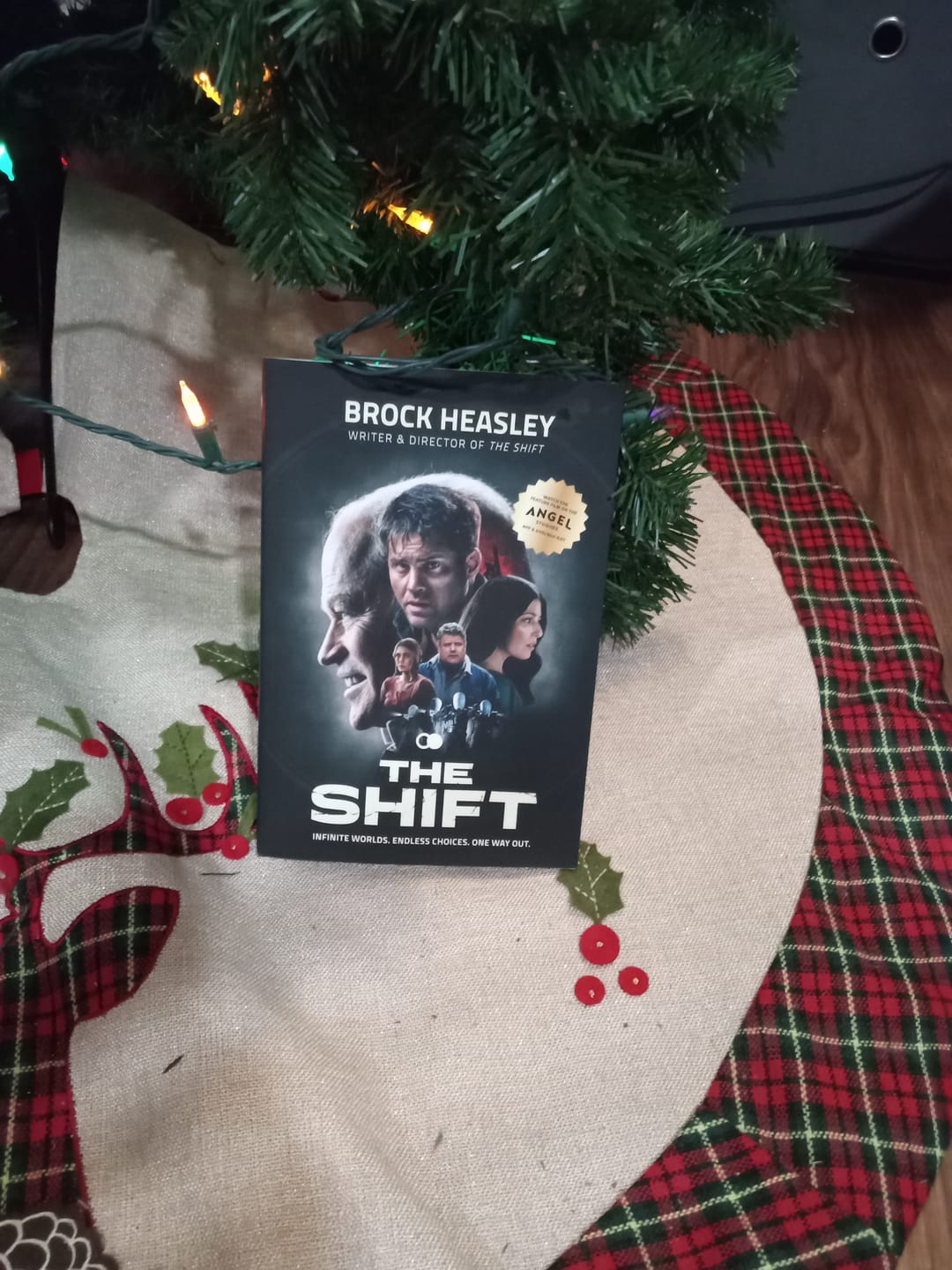 Customer photo review of The Shift Novel