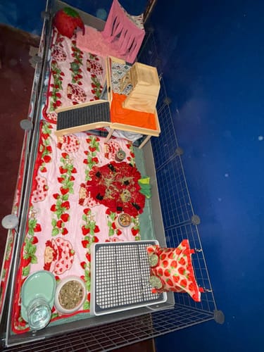 Customer photo review of Piggy Condo C&C Cage with Pillars