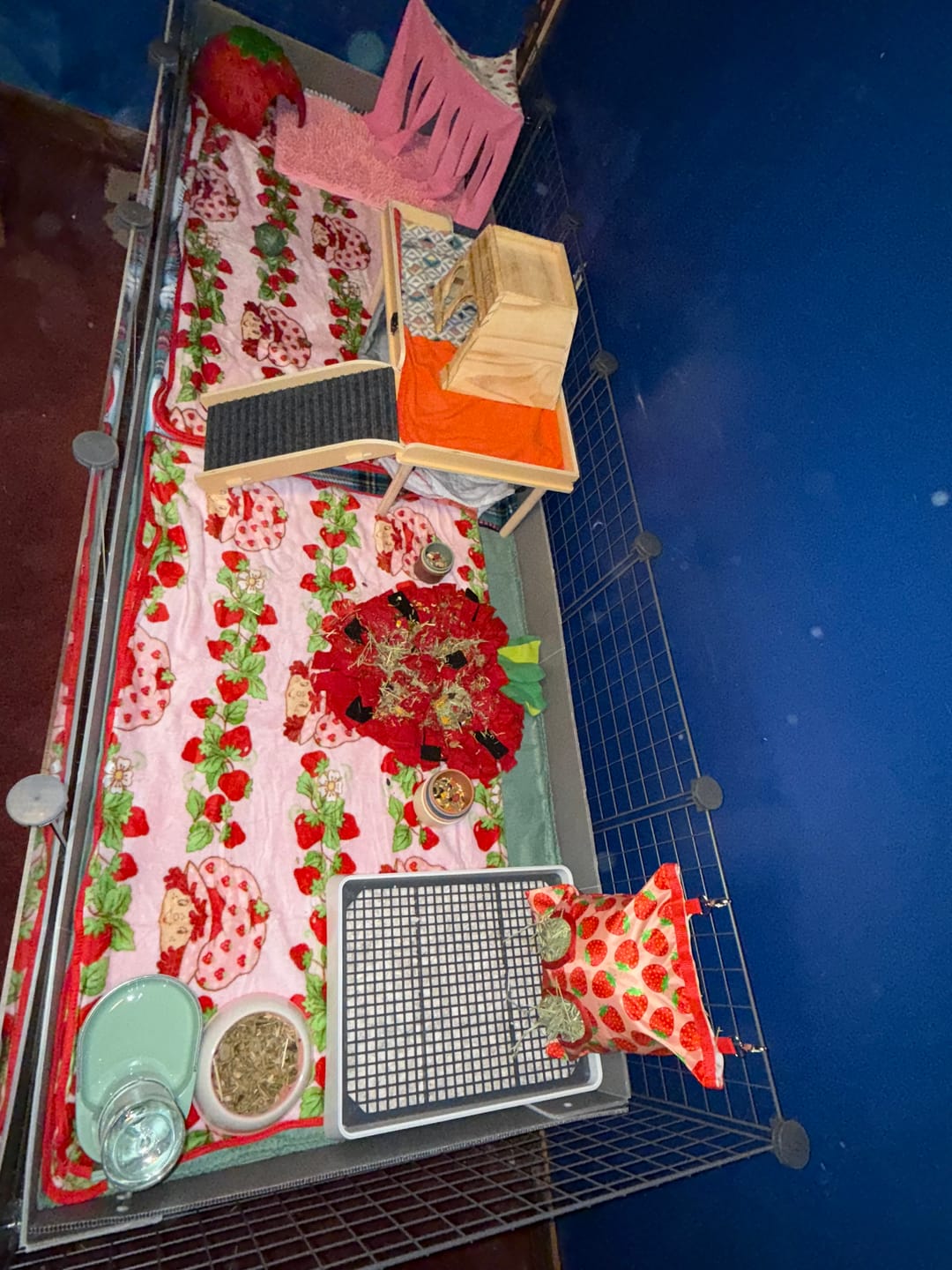 Customer photo review of Piggy Condo C&C Cage with Pillars