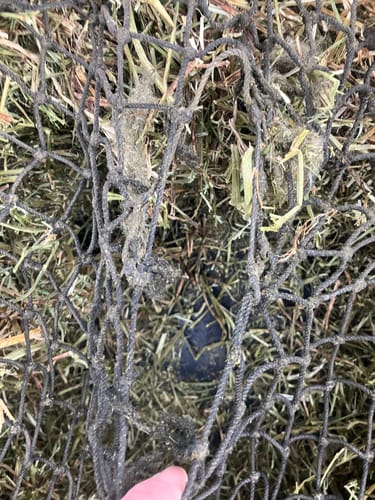 Customer photo review of Hay Chix® Repair Twine