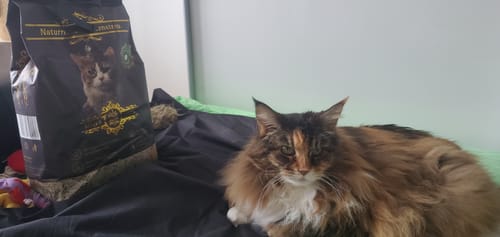 undefined review of Naturreines Katzenstreu image 1 out of 1