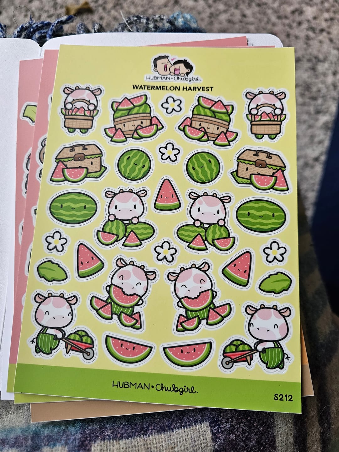 Customer photo review of Watermelon Harvest Sticker Sheet