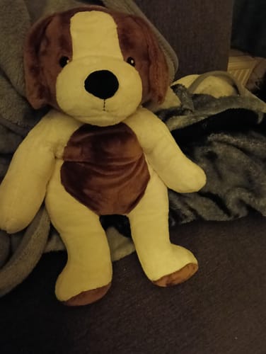 Customer photo review of Lotgenootje Hond 2kg