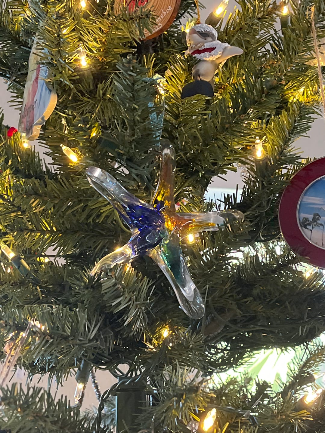 Customer photo review of Dichroic Starfish Suncatcher with Infused Cremains