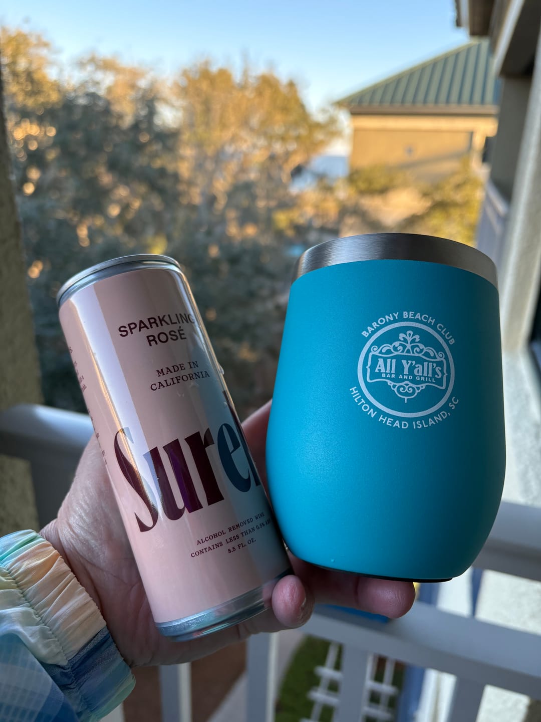 Customer photo review of Non-Alcoholic Sparkling Rosé Can 4-Pack