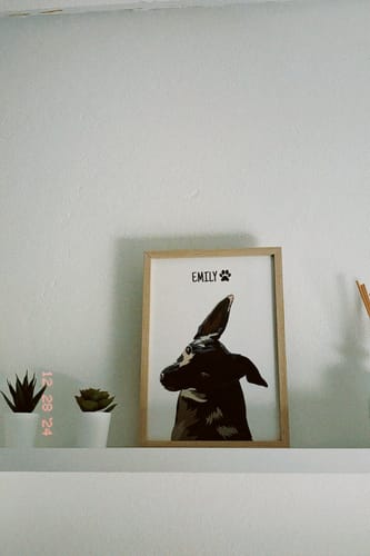 Customer photo review of Quadro Retrato Colorido (1 Animal)