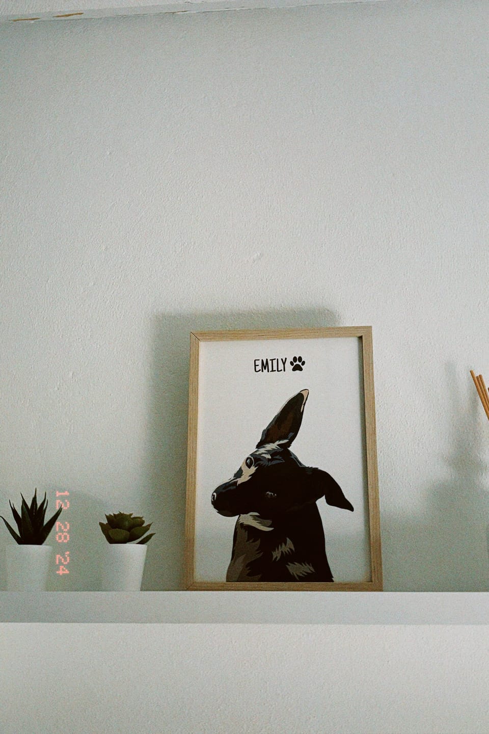 Customer photo review of Quadro Retrato Colorido (1 Animal)