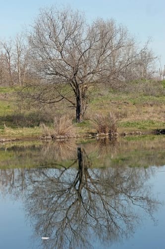 Customer photo review of Made with Diamonds® Custom Kit