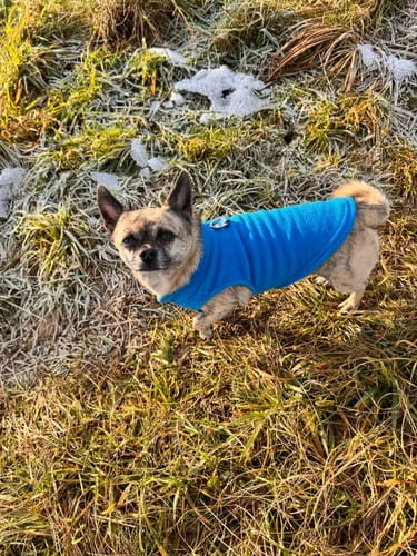 Customer photo review of Pup-Peroni Parka