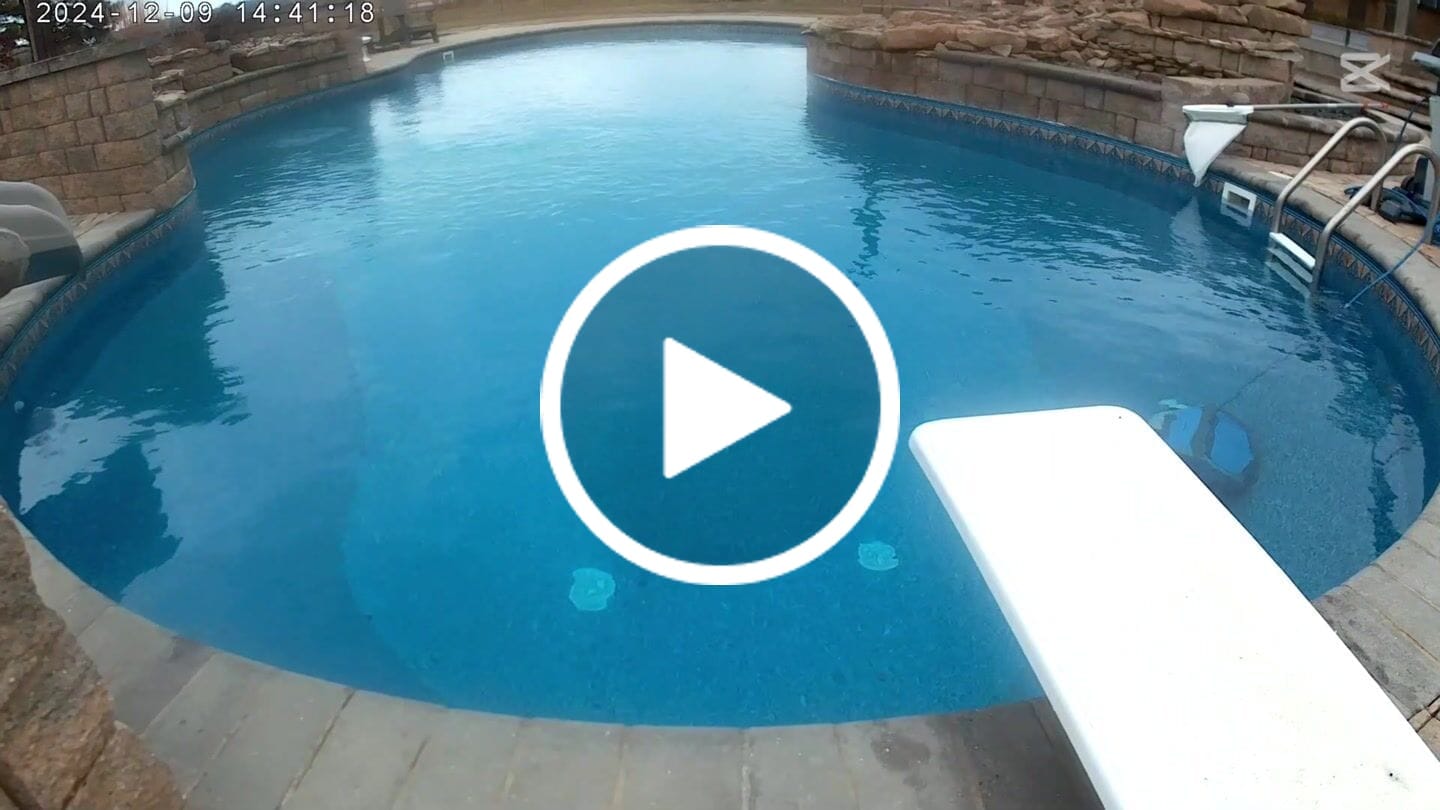 Customer video review of Ships Next Day New Maytronics Dolphin M600 Robotic Pool Cleaner