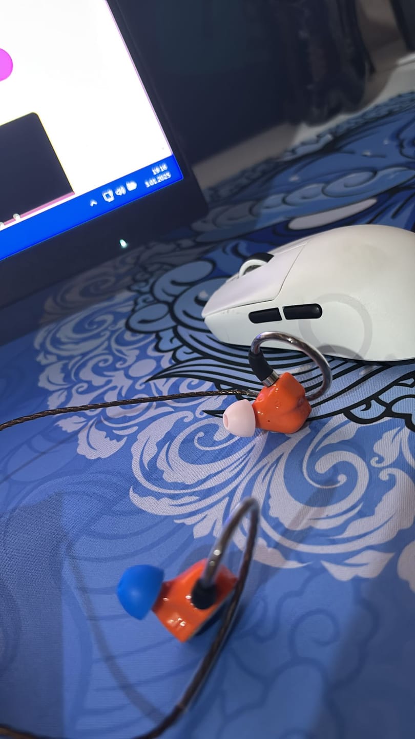 Customer photo review of 7Hz Salnotes Zero IEM Kulaklık