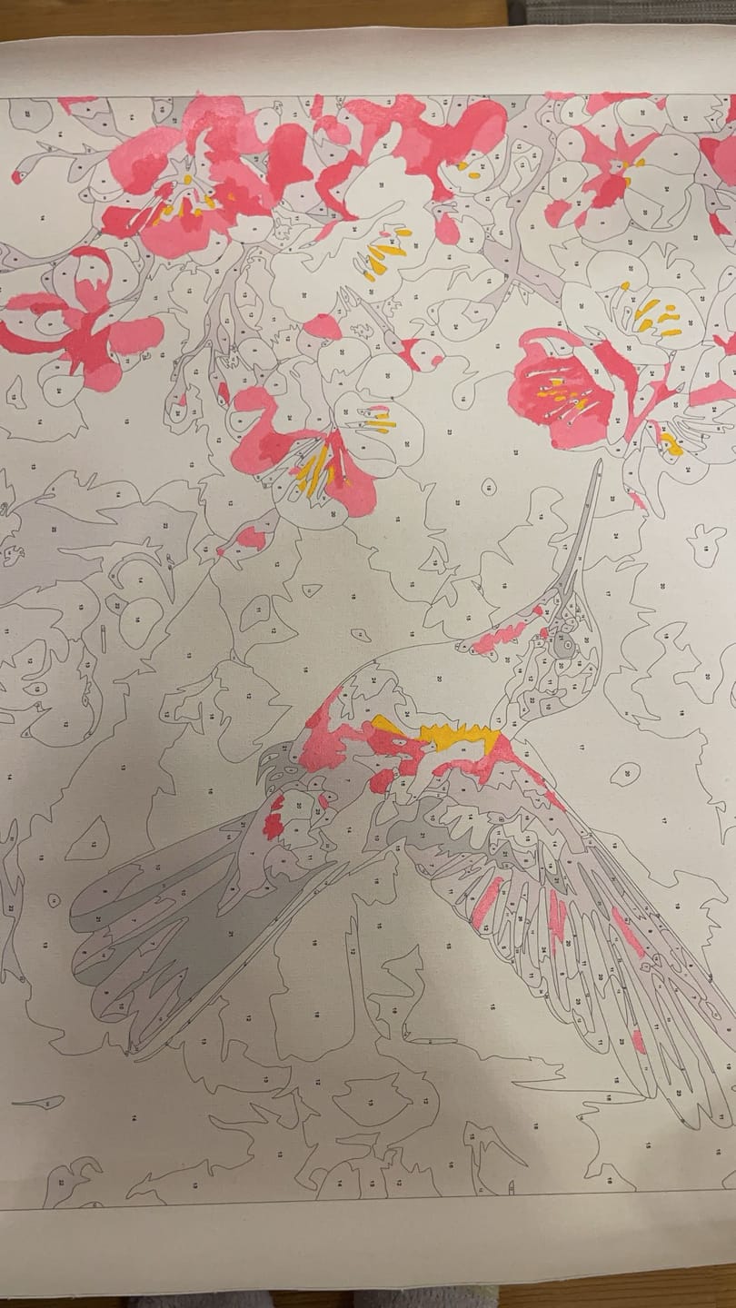Customer photo review of Feeding Hummingbird