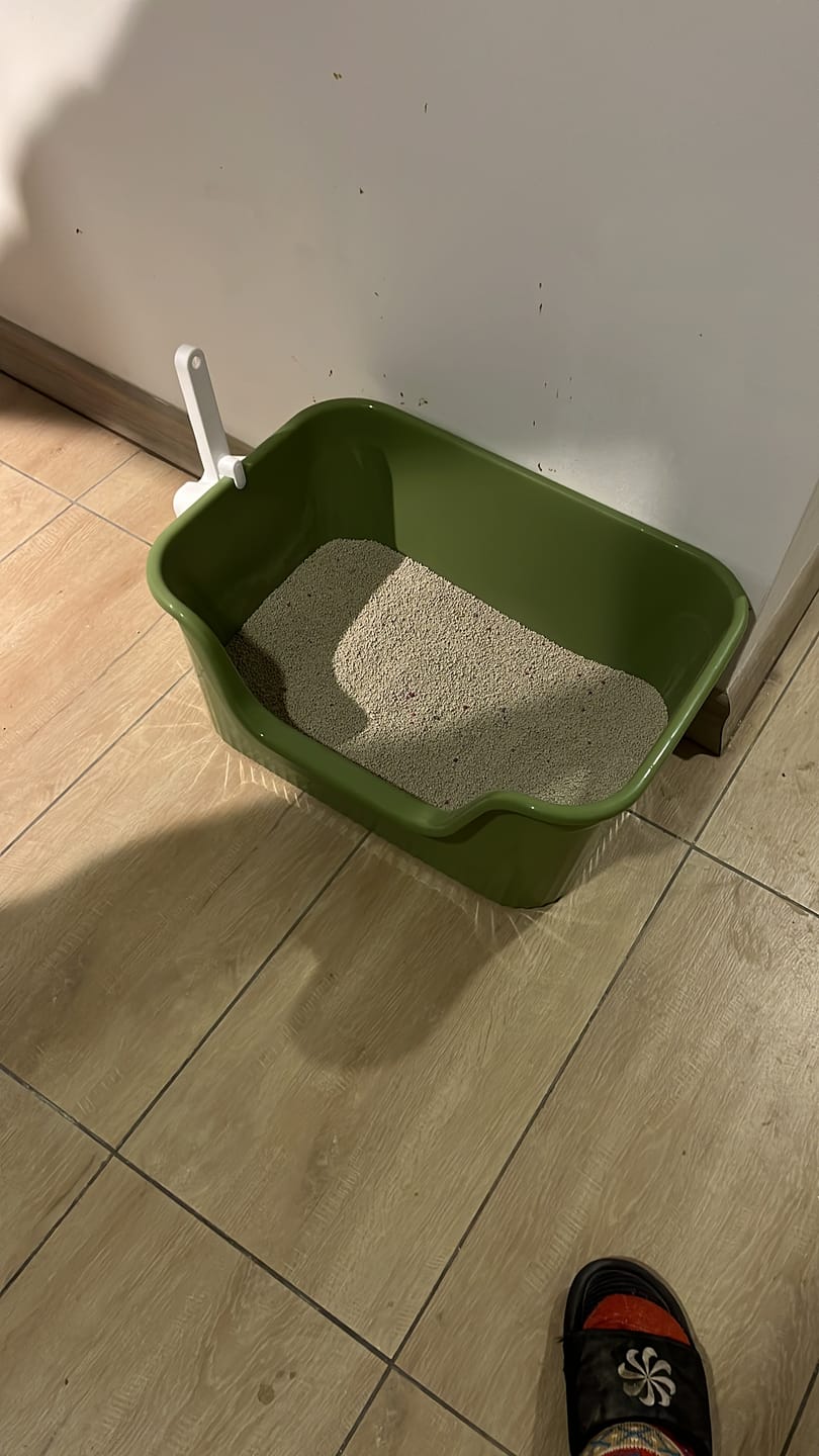 Customer photo review of Arena Minino Aglutinante 16kg