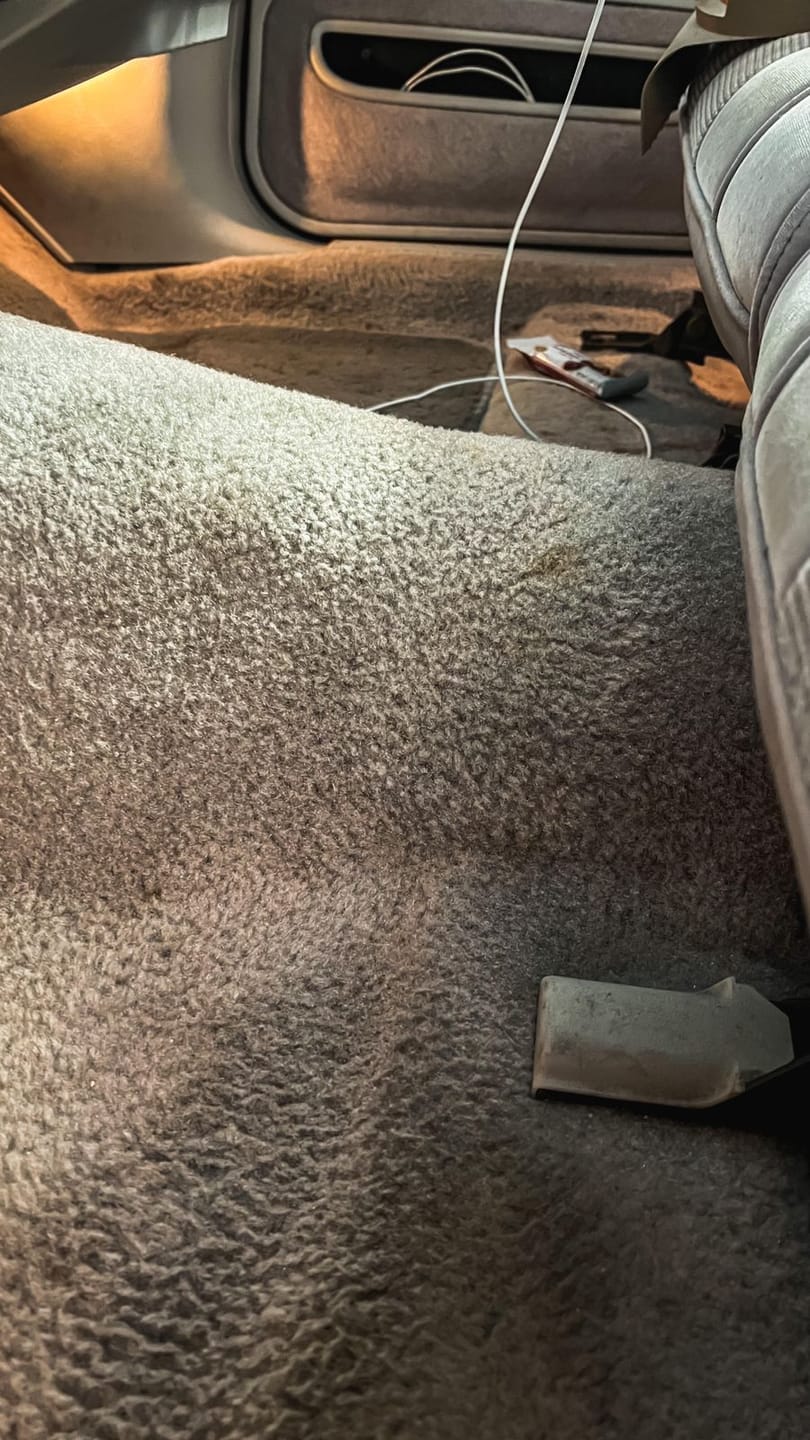 Customer photo review of ~ Releasit Encap-Clean DS2 (1 Gallon) Encapsulation Carpet Cleaning Products [Encap]