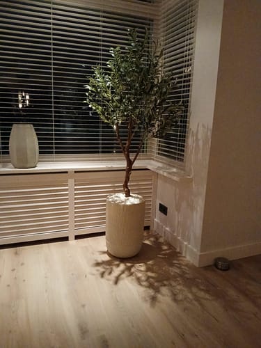 Customer photo review of Kunst Olijfboom 150cm