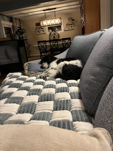 Customer photo review of NEW Plush Furniture Protector Couch Cover