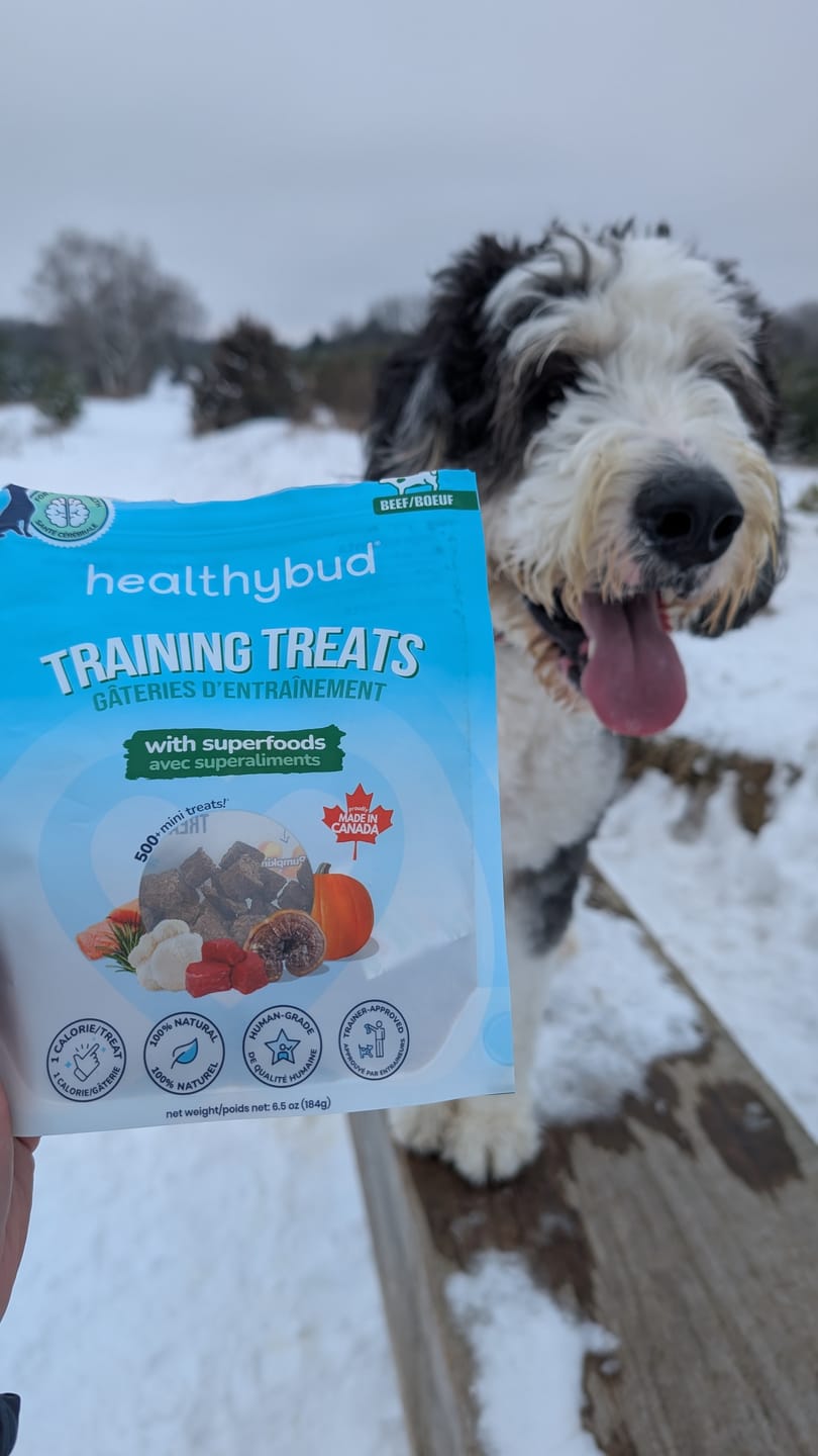 Customer photo review of Beef Mini Training Treats